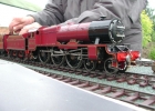 Royal Scot