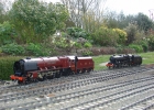 A Duchess and an 8F