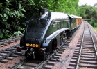 Capercaillie LNER A4