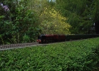 LMS Duchess