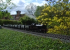LMS Tilbury Tank on coal train.