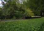 GWR City Class at speed