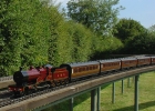 LMS Compound