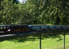 Another view of DB 62 2-6-4 tank (Aster model)